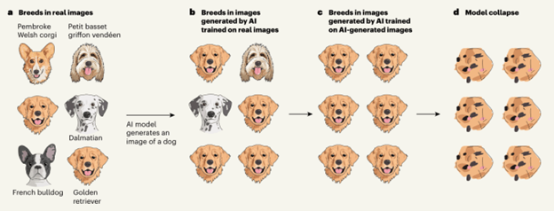 Chart showing how image AI can collapse if it learns from its own outputs